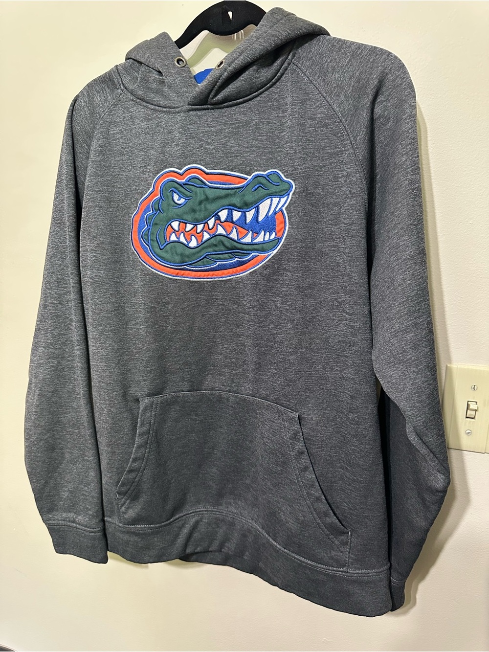 FLORIDA GATORS Football Hoodie Colosseum Men’s L Gray Grey Fleece lined Sports